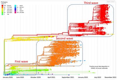 Molecular determinants associated with temporal succession of SARS-CoV-2 variants in Uttar Pradesh, India